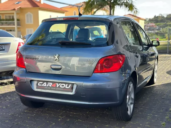 Peugeot 307 1.6 HDi XS Premium 11