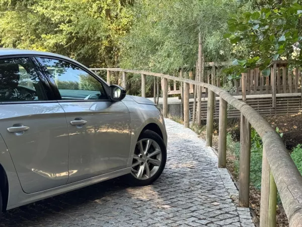 Opel Corsa 1.5 D Elegance 6