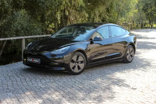 Tesla Model 3 Standard RWD Plus 12