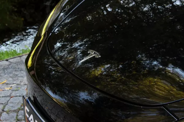 Tesla Model 3 Standard RWD Plus 14