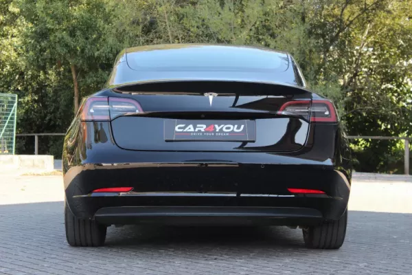 Tesla Model 3 Standard RWD Plus 19