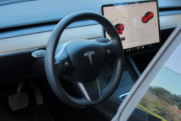 Tesla Model 3 Standard RWD Plus 21