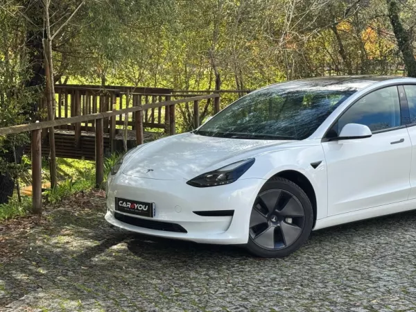 Tesla Model 3 Standard Range Plus RWD 2