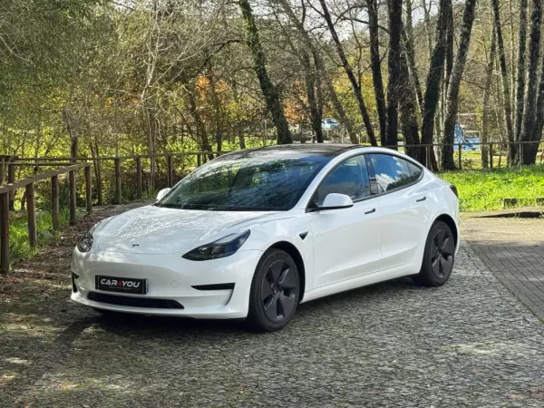 Tesla Model 3 Standard Range Plus RWD 8