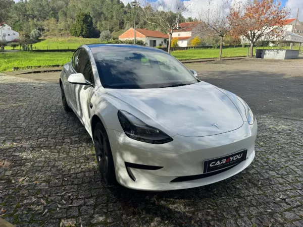 Tesla Model 3 Standard Range Plus RWD 10