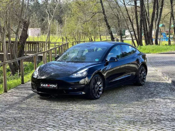 Tesla Model 3 Performance Dual Motor AWD 13