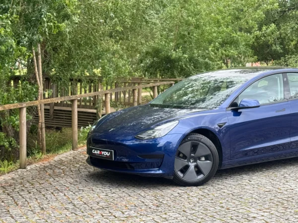 Tesla Model 3 Standard Range Plus RWD 2