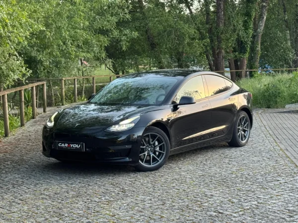 Tesla Model 3 Long Range AWD Dual Motor 1