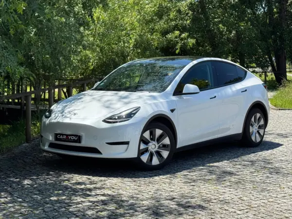 Tesla Model Y Long Range Dual Motor AWD 1