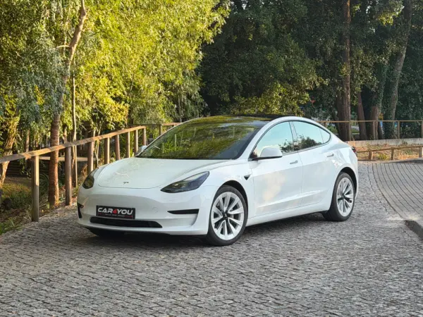 Tesla Model 3 Standard RWD 1