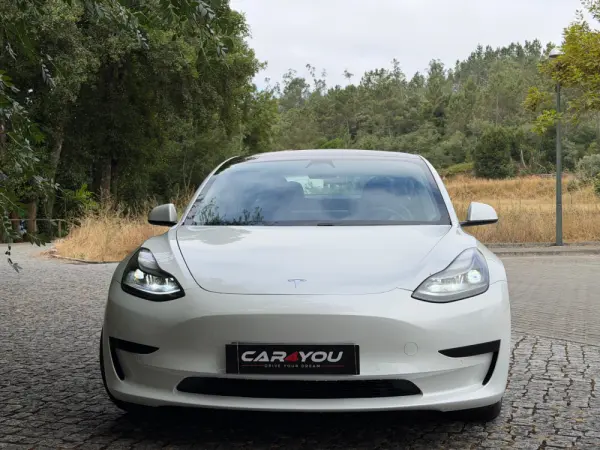 Tesla Model 3 Standard Range Plus RWD 9