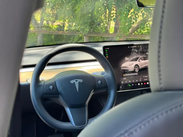 Tesla Model Y Long Range Dual Motor AWD 19