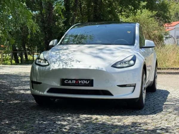 Tesla Model Y Long Range Dual Motor AWD 12