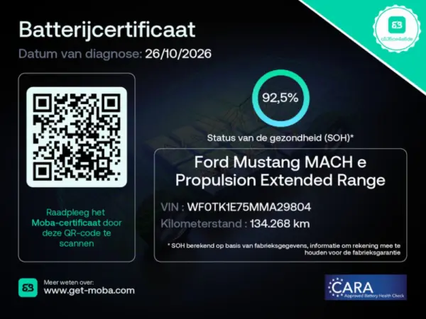 Ford Mustang Mach-E Standard 9