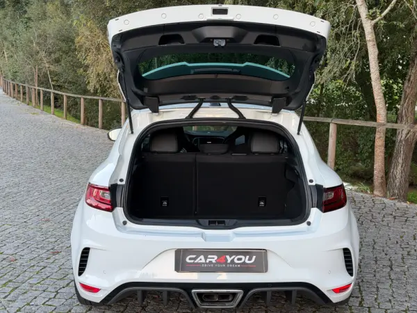 Renault Mégane 1.8 TCe R.S. Trophy 15