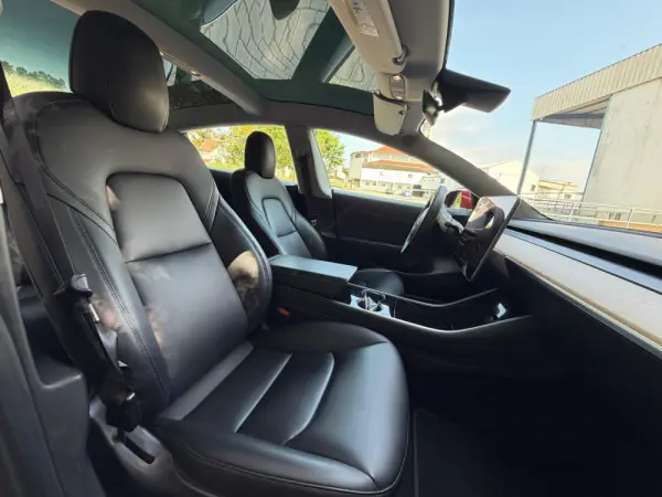Tesla Model 3 Standard Range Plus RWD 31