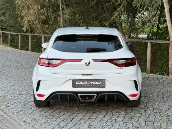 Renault Mégane 1.8 TCe R.S. Trophy 14