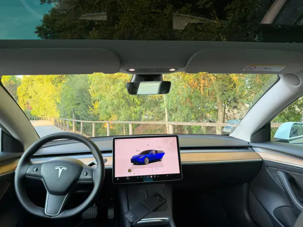 Tesla Model 3 Standard RWD 16