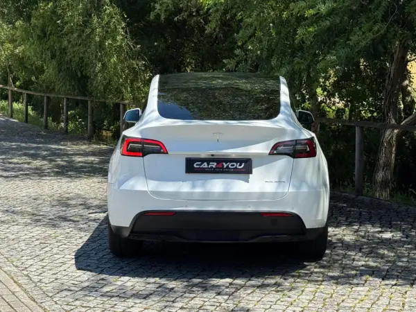 Tesla Model Y Long Range Dual Motor AWD 13