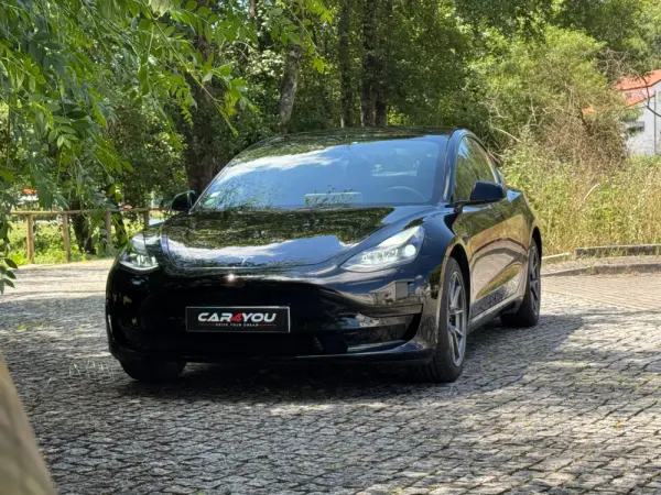 Tesla Model 3 Standard Range Plus RWD 13