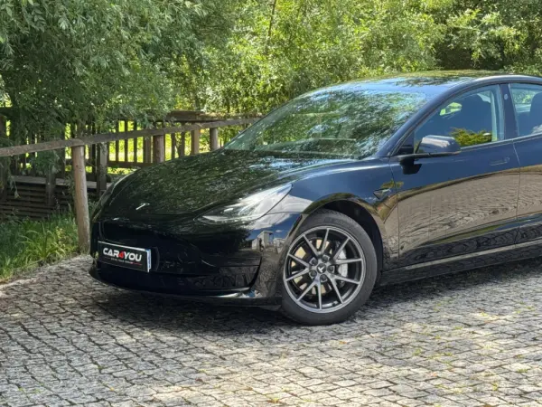 Tesla Model 3 Standard Range Plus RWD 2