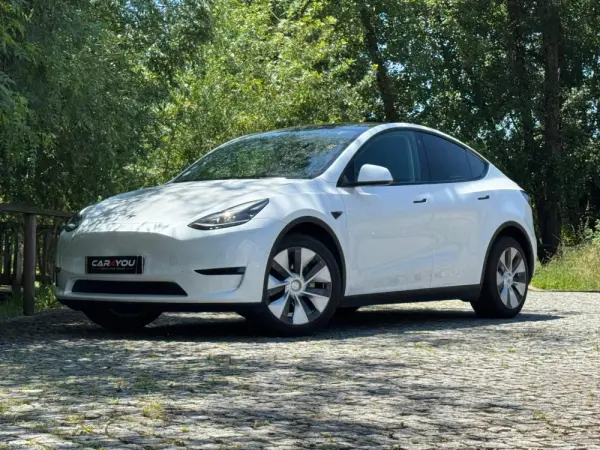Tesla Model Y Long Range Dual Motor AWD 10