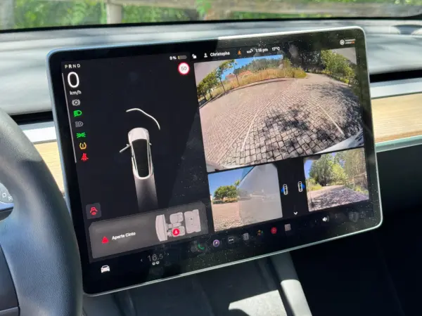 Tesla Model Y Long Range Dual Motor AWD 15