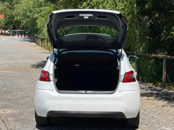 Peugeot 308 1.5 BlueHDi Active Pack 19