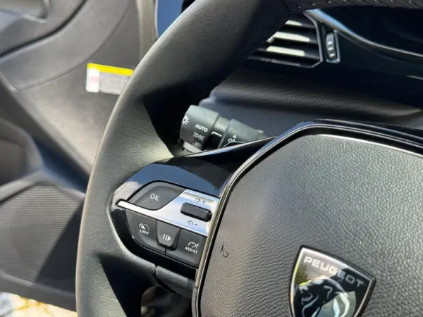 Peugeot 308 PureTech 130 EAT8 Active Pack 19