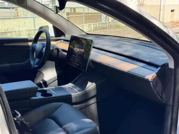 Tesla Model Y Long Range Dual Motor AWD 23