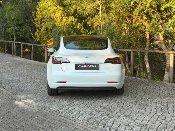 Tesla Model 3 Standard RWD 12