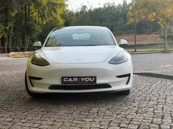 Tesla Model 3 Standard RWD 11