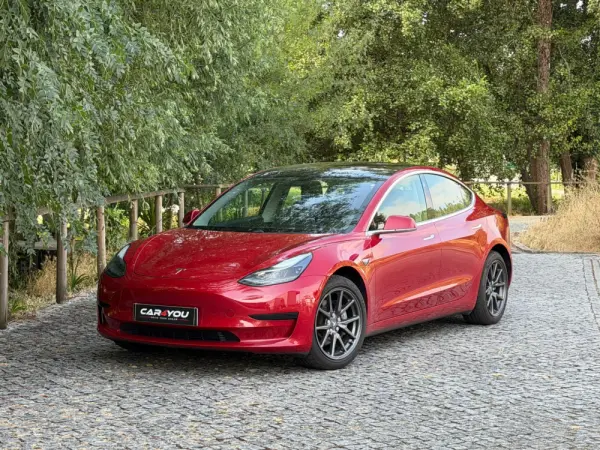 Tesla Model 3 Standard Range Plus RWD 13