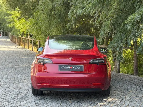 Tesla Model 3 Standard Range Plus RWD 12