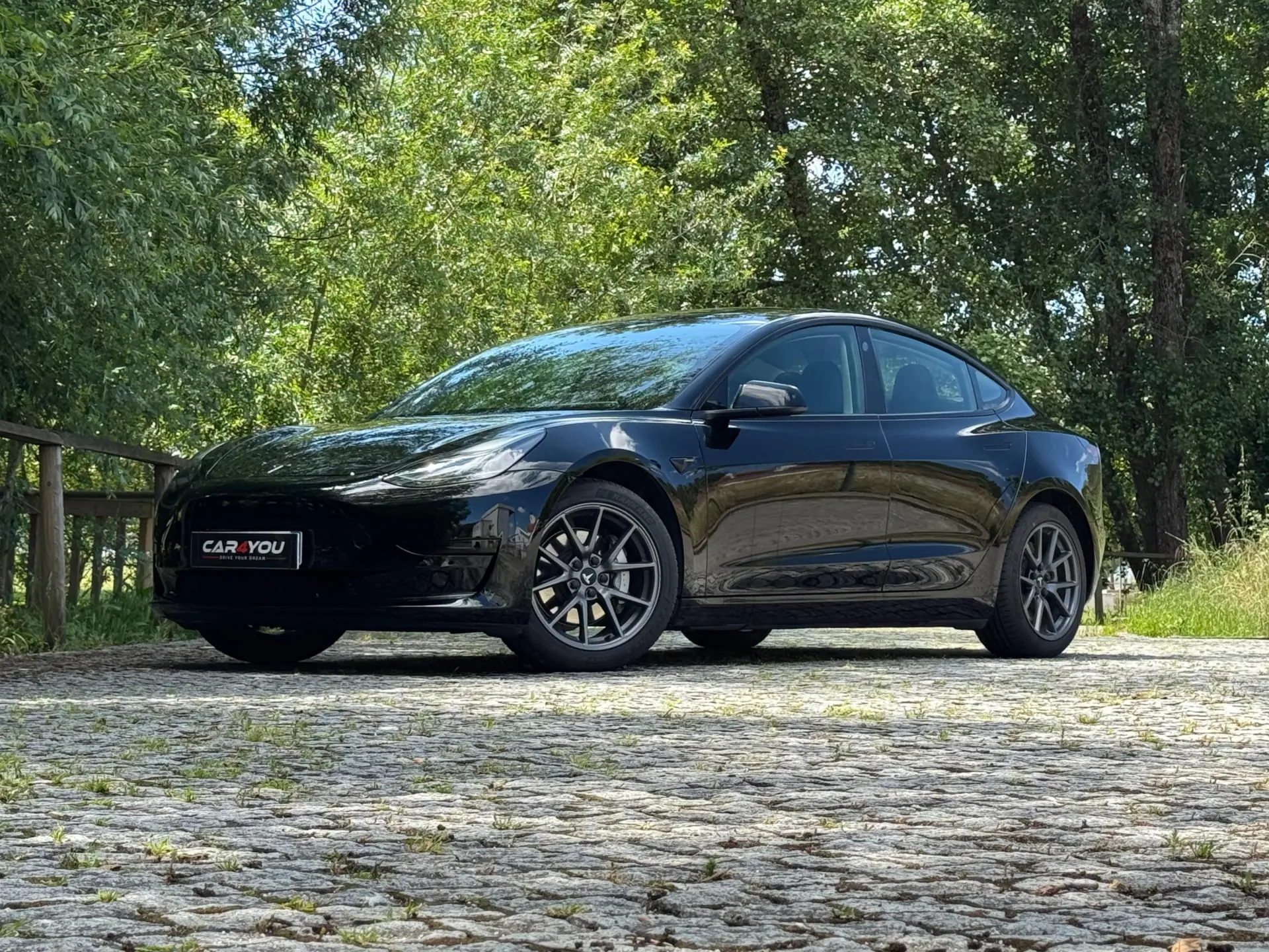 Tesla Model 3 Standard Range Plus RWD 8