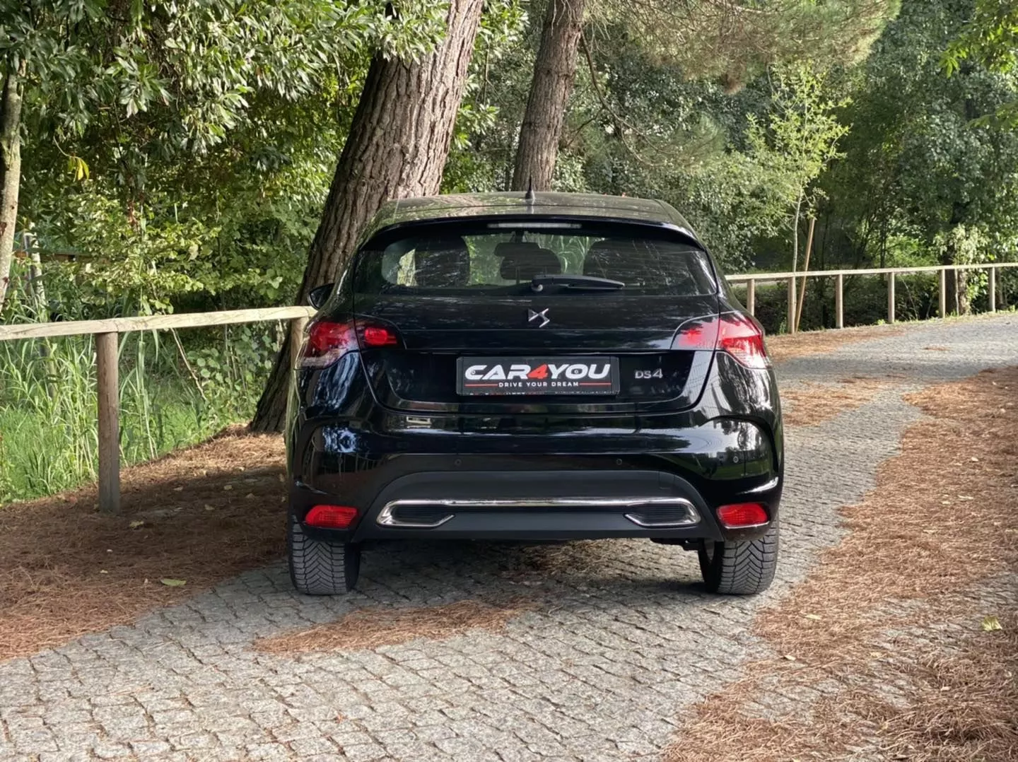 DS DS4 1.6 BlueHDi So Chic EAT6 17