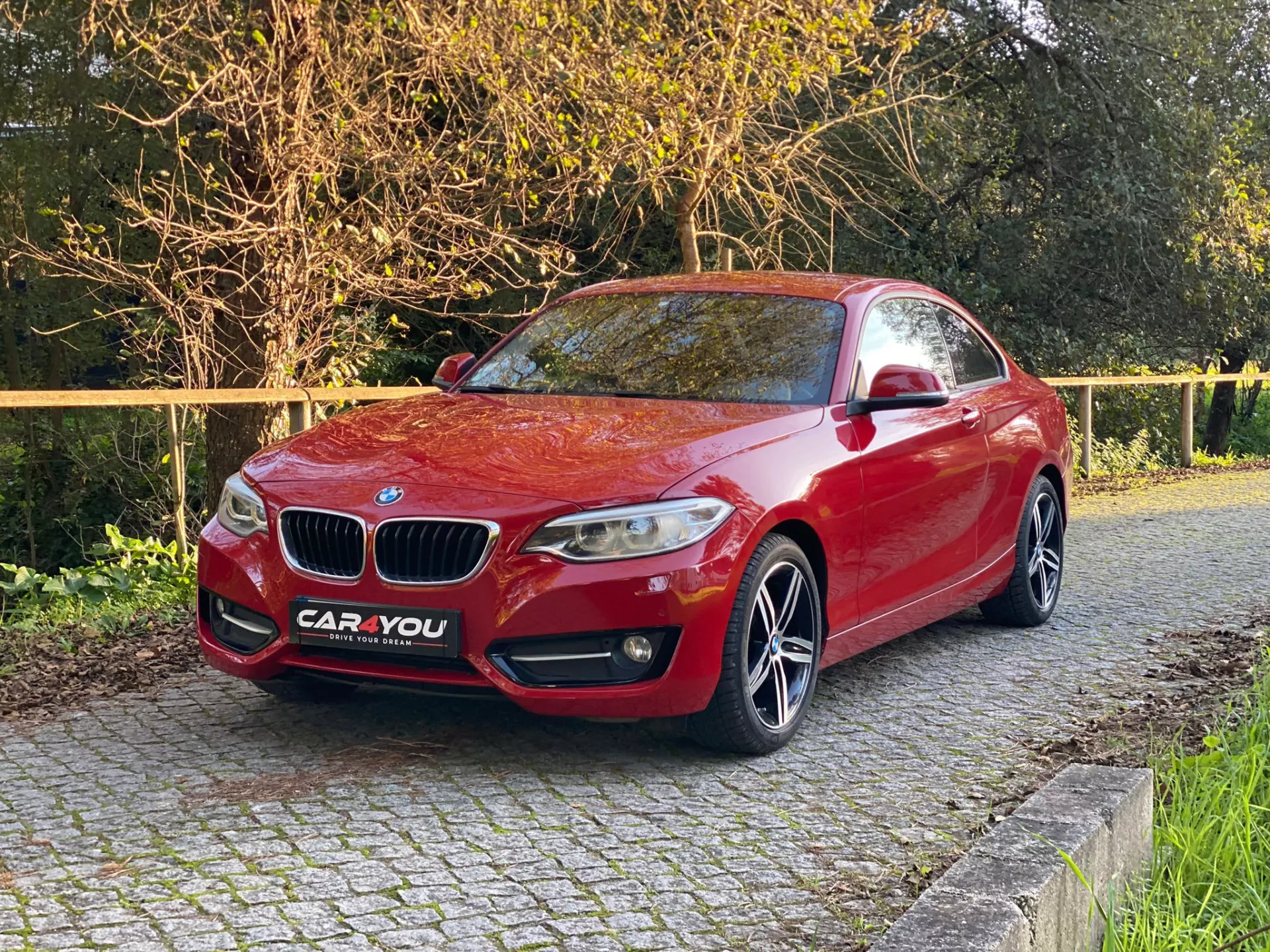 BMW 218 d Line Sport Auto 7