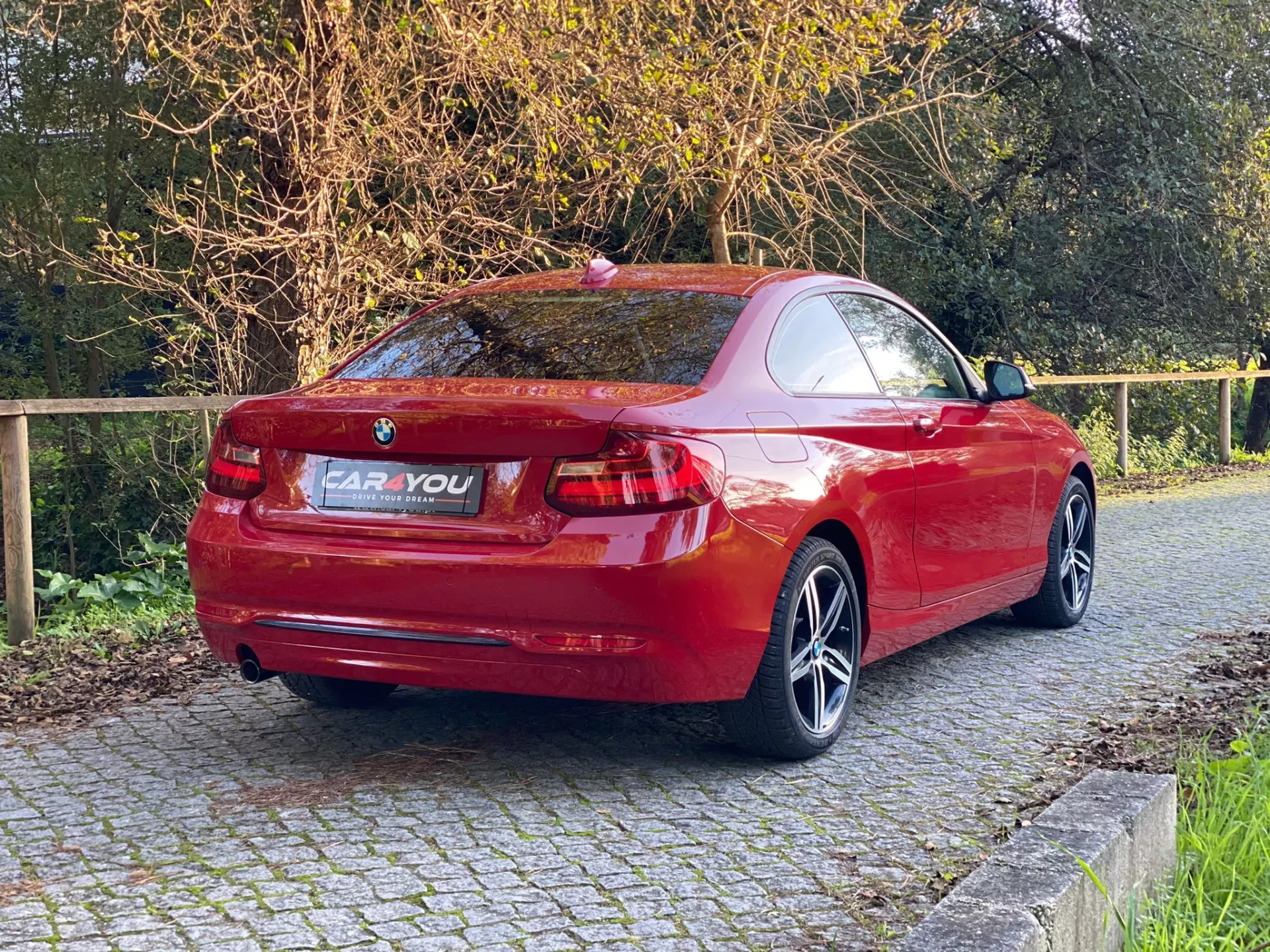 BMW 218 d Line Sport Auto 11