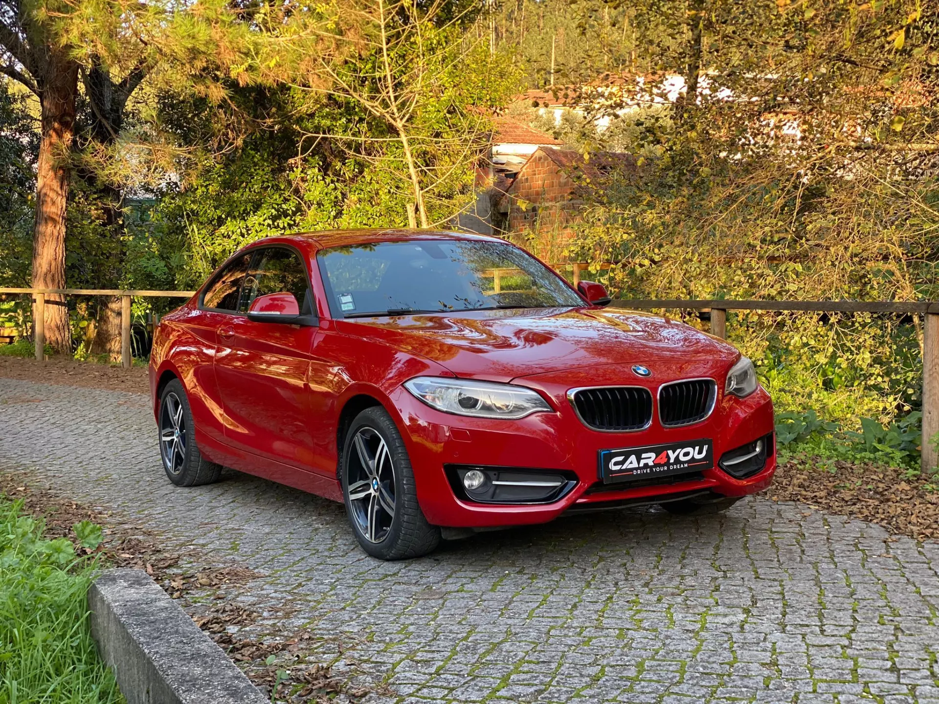 BMW 218 d Line Sport Auto 12