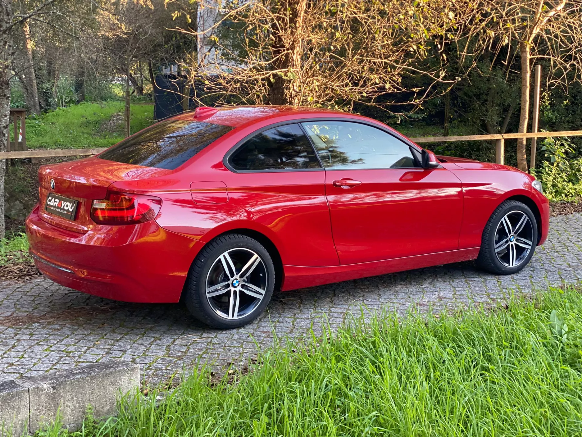 BMW 218 d Line Sport Auto 15