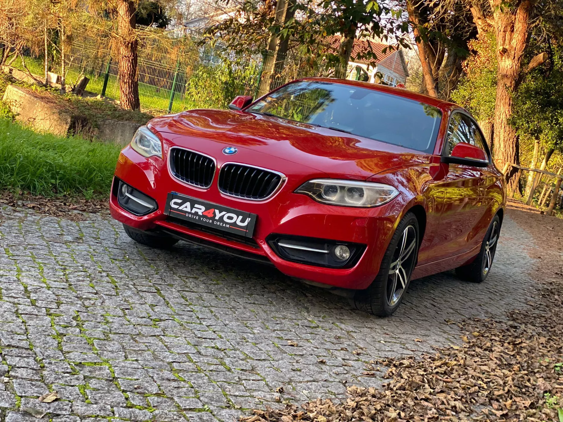 BMW 218 d Line Sport Auto 16