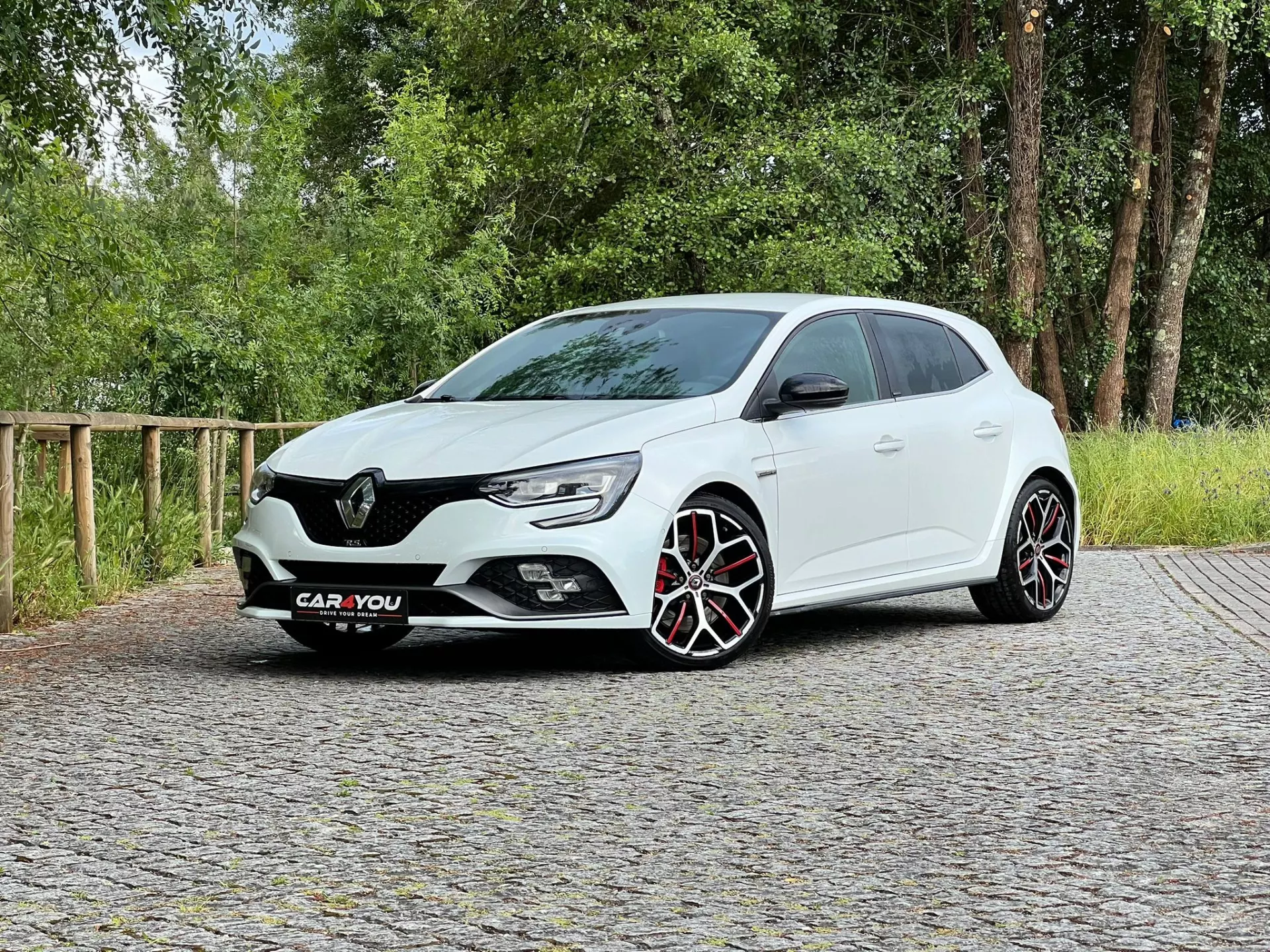 Renault Mégane 1.8 TCe R.S. Trophy EDC 10