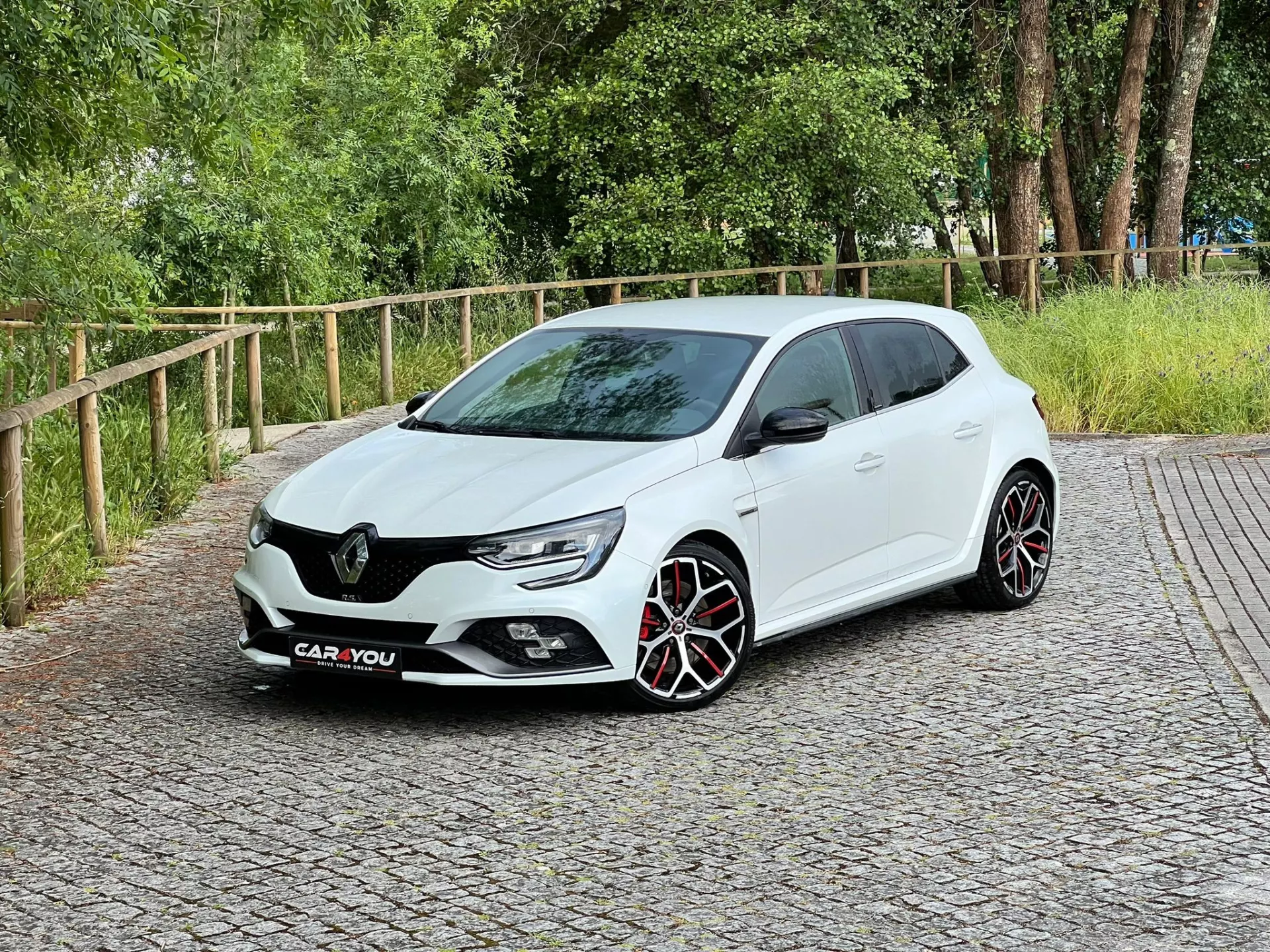 Renault Mégane 1.8 TCe R.S. Trophy EDC 13