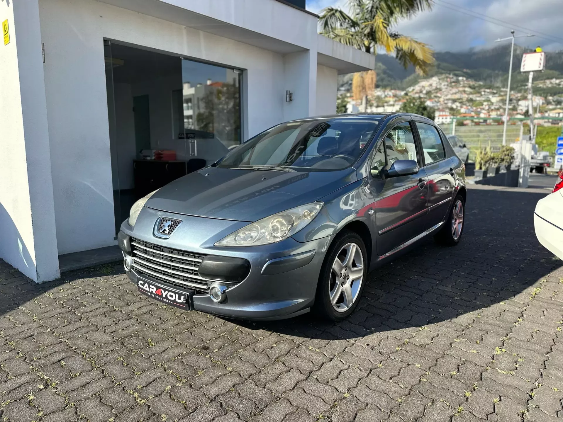 Peugeot 307 1.6 HDi XS Premium 7