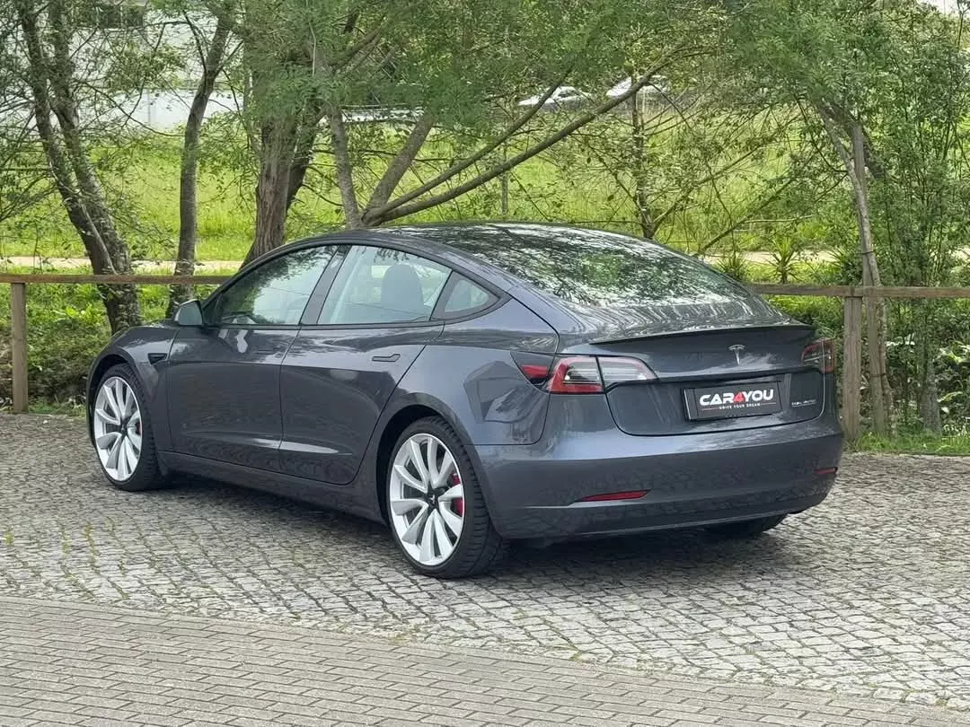 Tesla Model 3 Performance Dual Motor AWD 8
