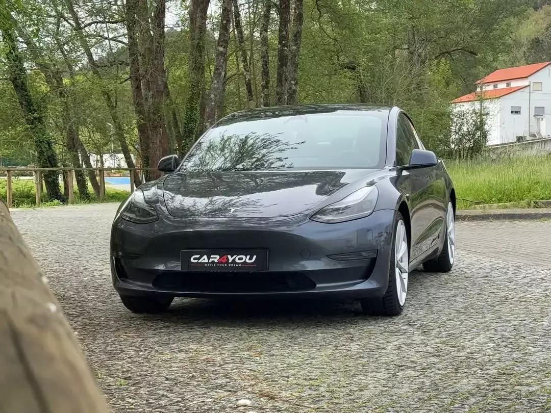 Tesla Model 3 Performance Dual Motor AWD 13