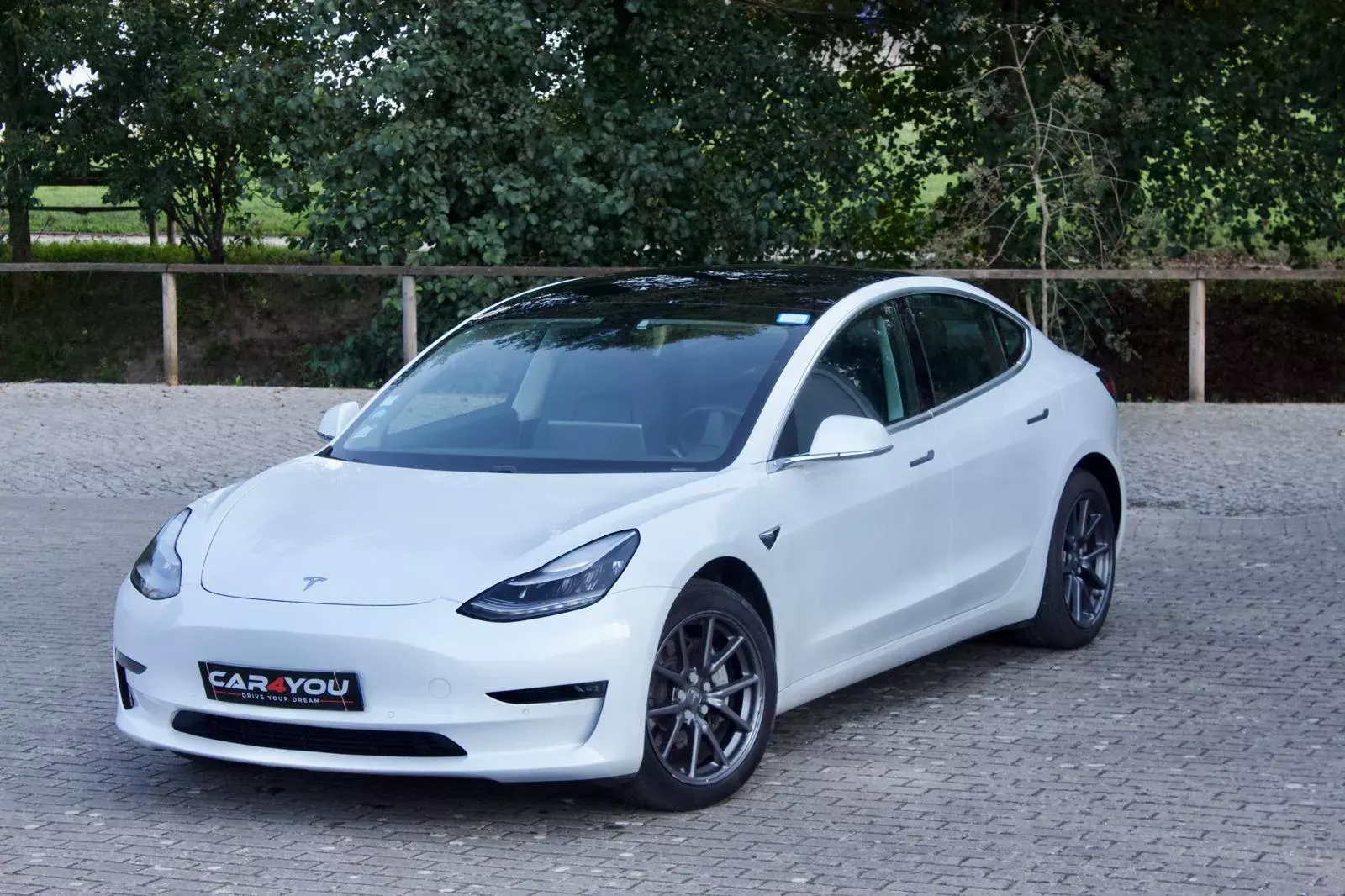 Tesla Model 3 Long-Range Dual Motor AWD 5