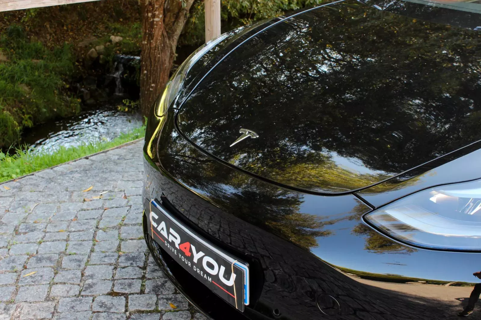 Tesla Model 3 Standard RWD Plus 5