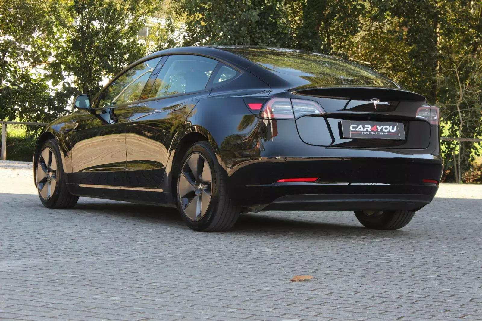 Tesla Model 3 Standard RWD Plus 8