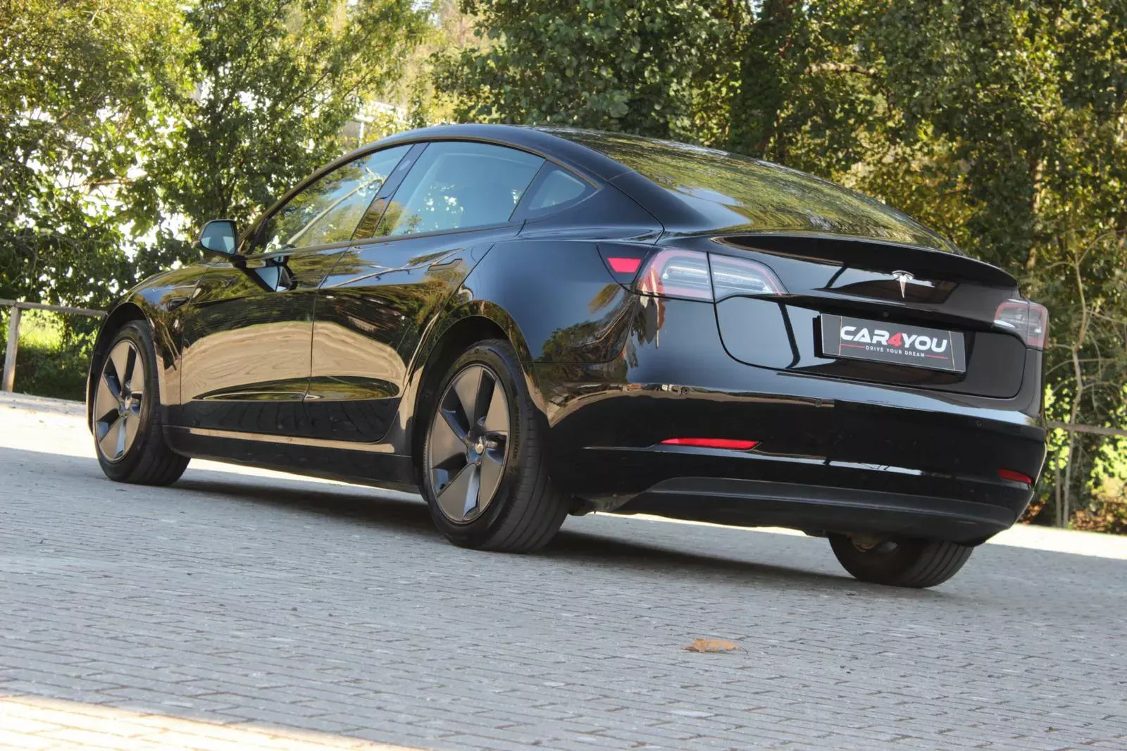 Tesla Model 3 Standard RWD Plus 9